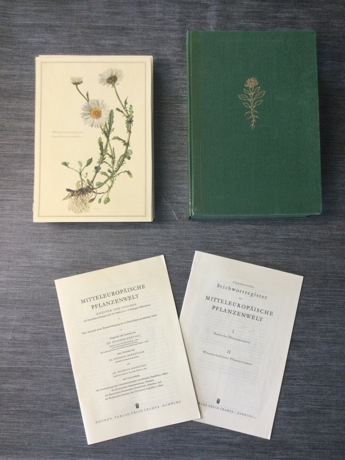 Mitteleuropäische Pflanzenwelt - Sammlung Naturkundlicher